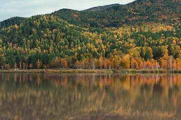 Image showing Autumn reflections lake