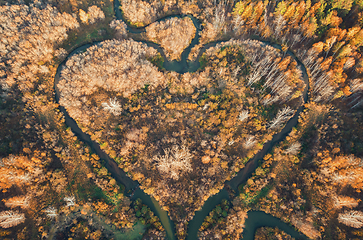 Image showing Heart shaped river
