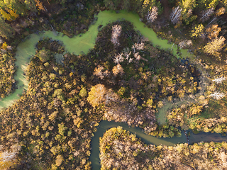 Image showing autumn landscape with river.