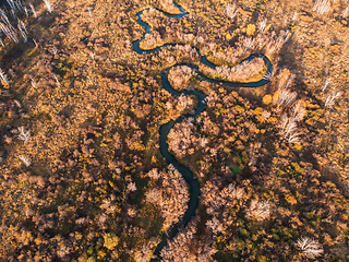 Image showing autumn landscape with river.