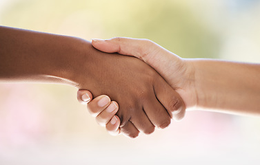 Image showing Diversity, hands closeup and welcome handshake introduction to interview meeting or thank you. Well done handshaking mockup, good job partnership deal or congratulations success on teamwork support