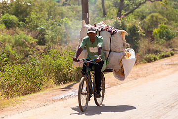 Image showing A Malagasy man on a bicycle transports large sacks. Traditional transport of the poor population in Madagascar