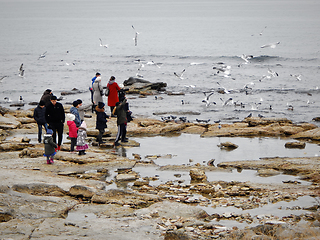 Image showing People on the seashore feed the birds.