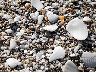 Image showing Pebbles on the seashore.