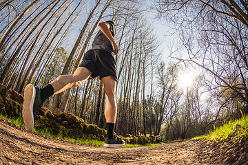 Image showing Male runner on nature