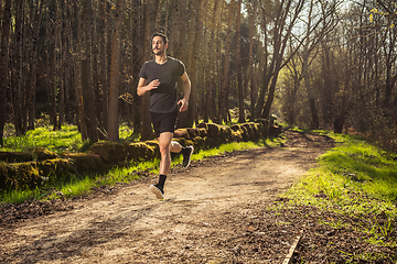 Image showing Male runner on nature