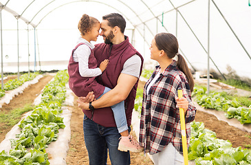 Image showing Farming, family and garden harvest for bonding, love and affection for summer produce. Gardening, parents and daughter on a farm for sustainability and ecology for plants with mother, father and girl