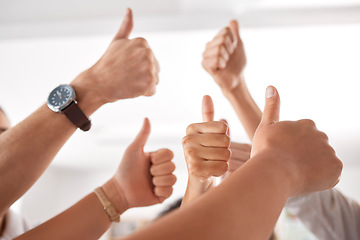 Image showing Team, diversity and business people thumbs up sign, icon and hands gesture for success and celebration. Group of men and women employees together for trust, yes or thank you hand gesture at work