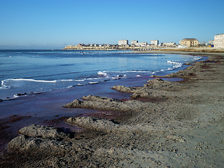 Image showing Purple ice on the shore.