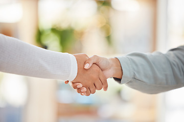 Image showing Business people shaking hands, meeting and consulting, networking and hiring agreement, partnership goals or office onboarding. Welcome handshake, hr worker promotion or b2b management support deal