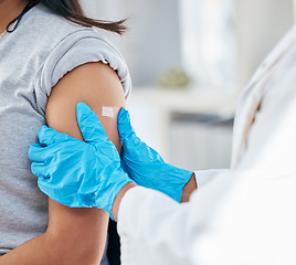 Image showing Doctor, vaccine and patient arm, plaster and medical healthcare for flu shot, hpv and covid 19 risk in clinic hospital. Corona virus consulting, wellness service and bandage treatment for immunity