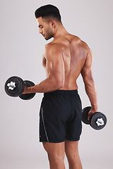 Image showing Man, working out muscle and dumbell in studio for strength training, weightlifting exercise and healthy fitness training routine. Muscular athlete flexing, workout motivation and sports body builder