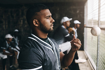 Image showing Sports, baseball player and team watch game, competition or competitive club match from substitute dugout. Fitness exercise, training workout or softball athlete throw ball during stadium performance