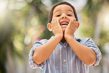 Image showing Backyard, portrait and surprised child with a smile playing outdoor in nature at his home. Happy, shocked and wow expression of a boy kid having fun in the garden during summer at his house in Brazil
