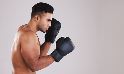 Image showing Training, young man and boxer with boxing gloves for competition, prepare for match and focus with grey studio background profile. Sportsman, Indian male and fighter at game, being healthy in workout