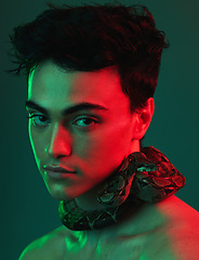Image showing Beauty, skincare and snake by man in neon, light and color studio for aesthetic, style and cosmetic. Portrait, face and animal by model for facial, product and glamour by asian on neon green mockup