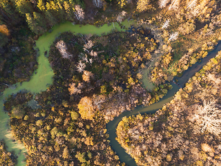 Image showing autumn landscape with river.