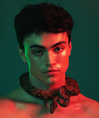 Image showing Red light, model and snake of a man with a sexy, sensual and erotic beauty look and good skincare. Portrait of a person feeling sexual, desire and seductive with creative art light feeling attractive