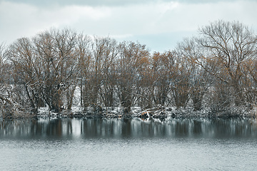 Image showing Winter landscape covered with snow