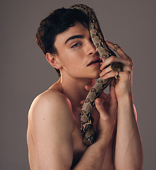 Image showing Model skin snake, face of man and grey studio background with health beauty, skincare and makeup. Cosmetics serpent guy, edgy creative and facial wellness cosmetic in artistic portrait with python