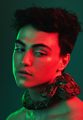 Image showing Beauty light, snake and face of model with creative color fashion, red neon lighting and luxury facial skincare. Creativity, individuality and aesthetic man with python on green studio background