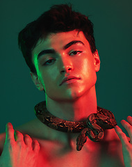 Image showing Skincare, man and snake in studio for beauty, wellness and treatment in art or creative, neon and green background. Face, portrait and model with animal for danger, glow and python extract product