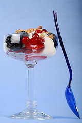 Image showing White yogurt