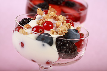 Image showing Healthy yogurts