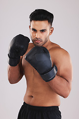 Image showing Boxing gloves, portrait and man training in sports fight, challenge or mma competition on studio background. Strong, focus and fitness guy, professional boxer champion and bodybuilder, fist and power