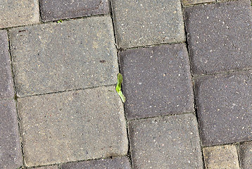 Image showing road made of modern tiles