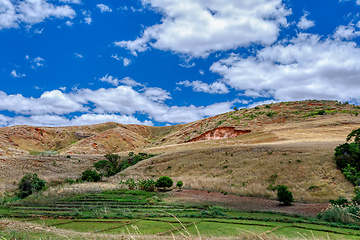 Image showing Devastated central Madagascar landscape - Mahajanga Province Madagascar