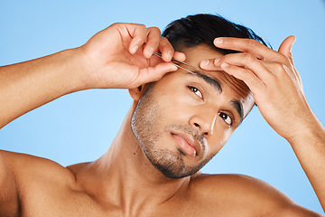 Image showing Tweezers, eyebrow and hair removal of man for skincare, aesthetic beauty or clean face on studio blue background. Arab guy model, facial treatment and brows shape of wellness, cosmetics and self care