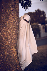 Image showing ghost costume, halloween and sunglasses in nature park outdoors. Funny horror dress up, spooky holiday celebration and creative scary mystery spirit design or hiding ghoul with glasses for carnival