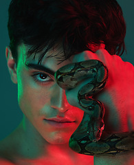 Image showing Skincare, neon light and snake for skincare, danger and venom or poison for dermatology, power or aesthetic background. Portrait of model male in studio with python animal for beauty, art and fashion