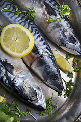Image showing Mackerels on silver plate