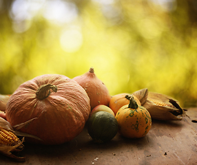 Image showing Autumn crops