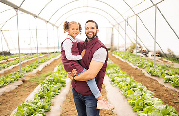 Image showing Agriculture, greenhouse farming and man with child at sustainable startup farm. Sustainability, growth and small business, dad agro farmer with happy girl in nursery with lettuce for community food.