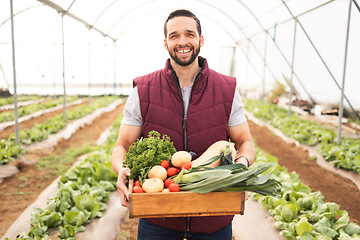 Image showing Greenhouse, harvest and man farmer with vegetables in a sustainable, agriculture and agro environment. Sustainability, farming and eco friendly guy with box of organic produce on farm in countryside.