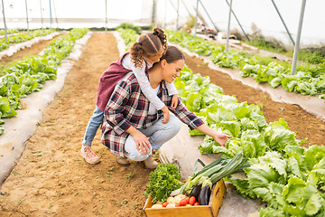 Image showing Mother in vegetables garden, farm with child and farmer in family greenhouse together for self sustainable lifestyle. Girl farming with mama, harvest in agriculture environment and natural food