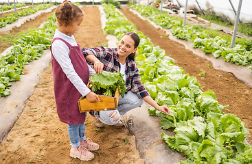 Image showing family, happy and farming in vegetable greenhouse for child learning environmental sustainability. Agriculture, eco friendly farm and kid farmer with mother for carbon culture in plant garden