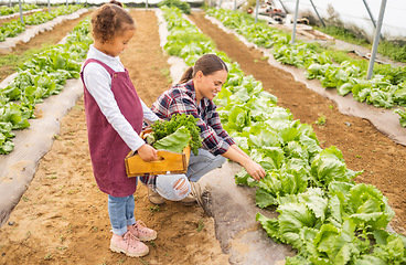 Image showing Mother, family and help with farming greenhouse vegetables for sustainability, business and lifestyle. Agriculture, helping and mom with young child holding wood tray in eco friendly farm.