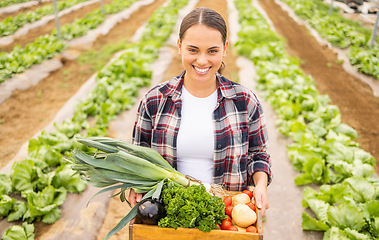 Image showing Woman with box of vegetables and agriculture, farmer smile in portrait, fresh harvest on sustainable farm. Farming, organic vegetable and raw nutrition food, nature and sustainability outdoor.