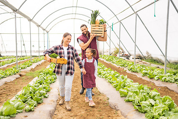 Image showing Child with parents on family farm, vegetables garden in greenhouse or self sustainable lifestyle in Brazil. Healthy agriculture plants, happy mother and father with fruit food basket walking together