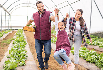 Image showing Farmer family, play with child and greenhouse farming swing daughter on organic lettuce farm with love. Playful family bonding, sustainable agriculture and healthy growth of summer harvest vegetables