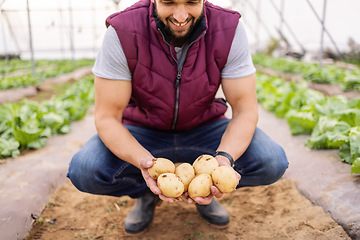 Image showing Happy potato farmer, greenhouse farm and vegetable garden with sustainable, organic agriculture and a healthy natural harvest. Modern sustainability farm, indoor crop and modern agriculture farming