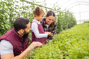 Image showing Farming, agriculture and family with child and parents happy together while learning growth process of plants for sustainability. Farmer man, woman and girl in greenhouse garden on a sustainable farm