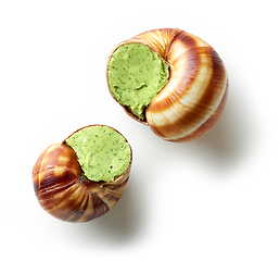 Image showing escargot snail stuffed with garlic and parsley butter