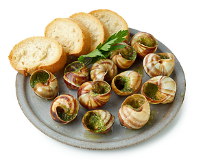 Image showing plate of baked escargot snails filled with parsley and garlic bu