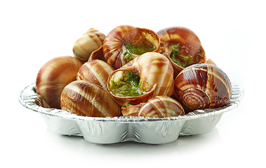 Image showing plate of baked escargot snails filled with parsley and garlic bu