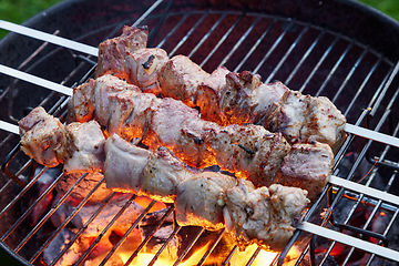 Image showing grilled pork skewers